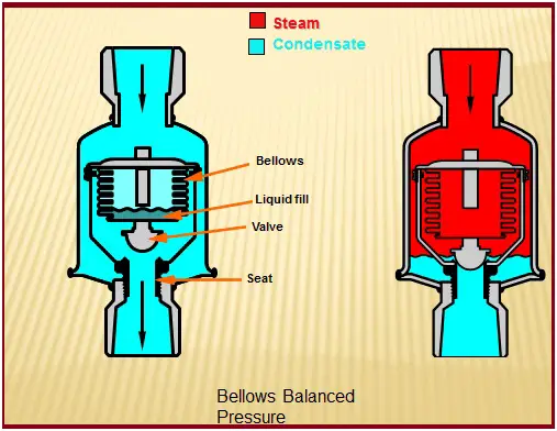 Bellows Balanced pressure type steam trap