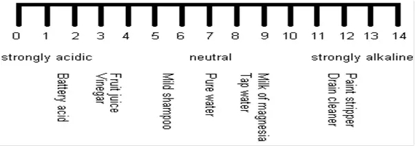pH Scale