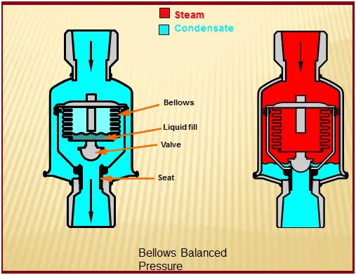 Bellows Purgadores do tipo pressão balanceada