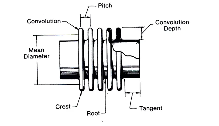 Basic Components of Bellow