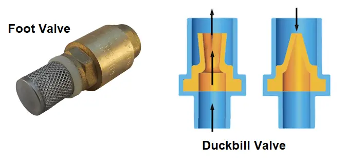 Foot and Duckbill Valve