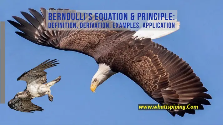 Bernoulli's Equation & Principle