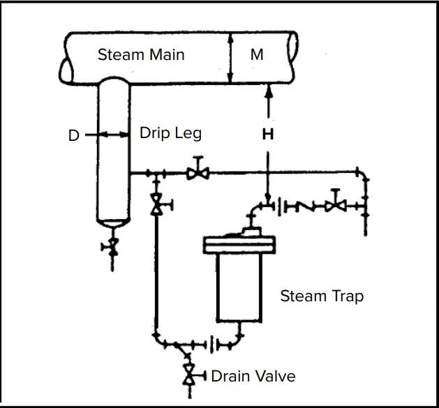 Typical Drip Leg Loops from Steam Mains