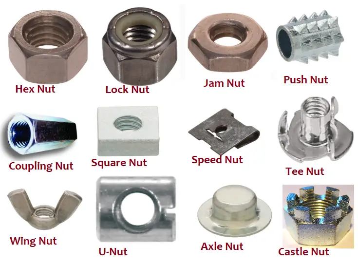 Types of Nuts