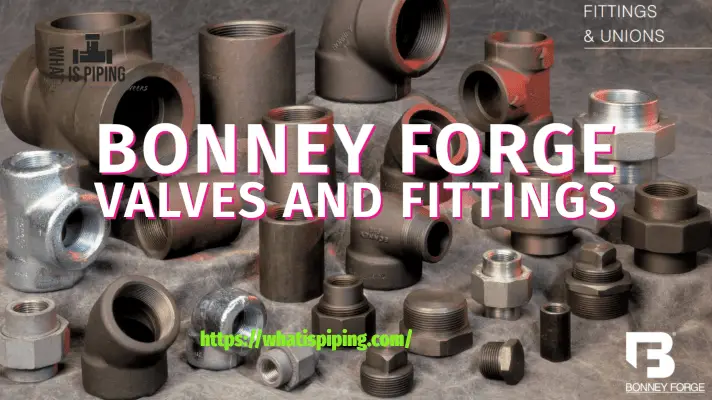 Bonney Forge Valves and Pipe Fittings: Bonney Forge Catalogue